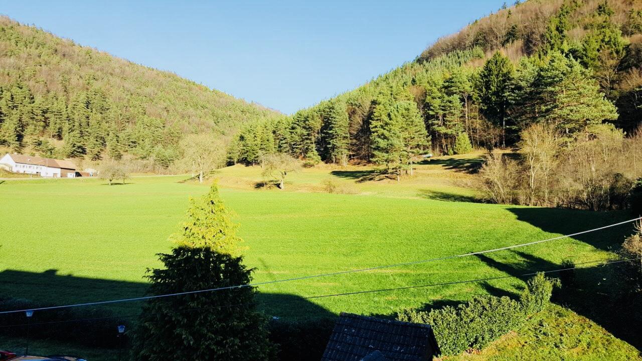 Hotel Gasthof Zum Lowen Wiechs am Randen Extérieur photo